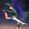 Kicks, Jumps and Leaps